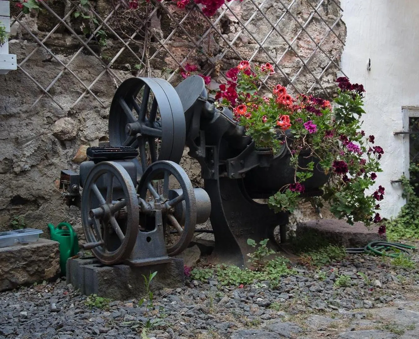 ** Guest house Baglio Antico Forno Hotel Isola di Ustica Italy